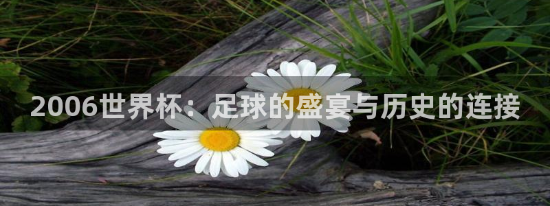 足球世界杯:2006世界杯:足球的盛宴与历史的连接