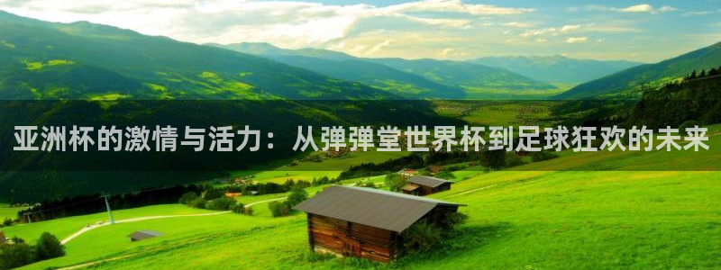 2026年世界杯对阵图:亚洲杯的激情与活力:从弹弹堂世界杯到足球狂欢的未来