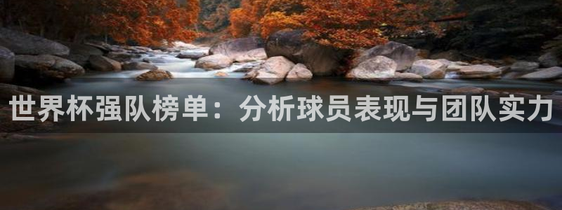 世界杯预选赛欧洲赛区积分榜:世界杯强队榜单:分析球员表现与团队实力