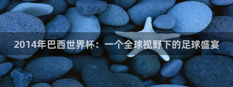 2026世界杯亚洲预选赛赛程:2014年巴西世界杯:一个全球视野下的足球盛宴