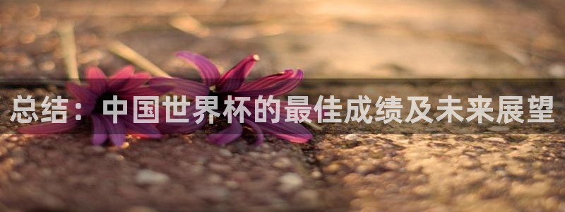 世界杯16强赛程表:总结:中国世界杯的最佳成绩及未来展望