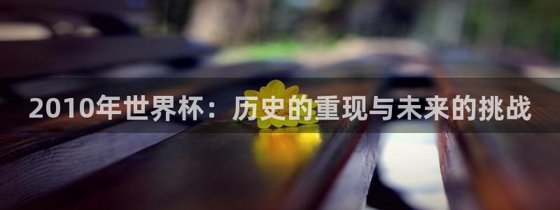 2026世界杯赛程:2010年世界杯:历史的重现与未来的挑战